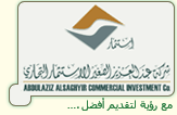 الاستثمار التجاري